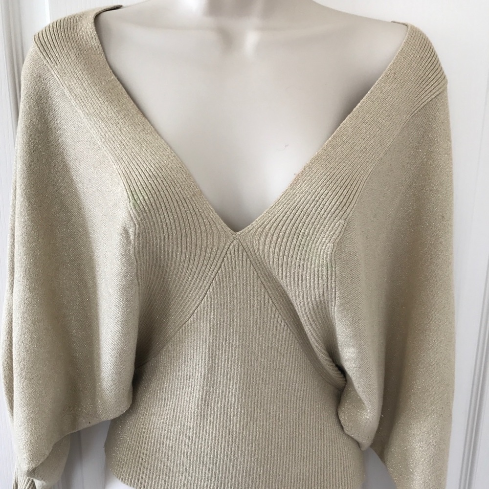 Express sweater top